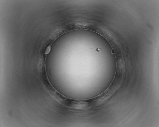 X0000112400463200908141343