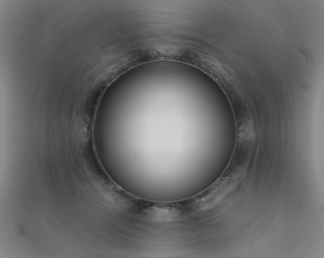 X0000112400464200908141343