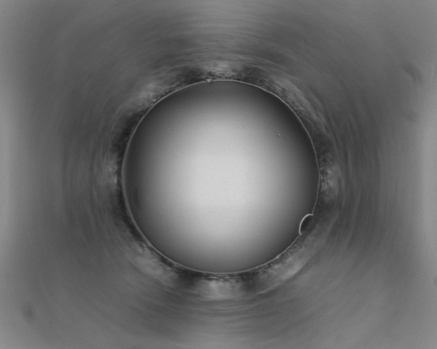 X0000112400466200908141343