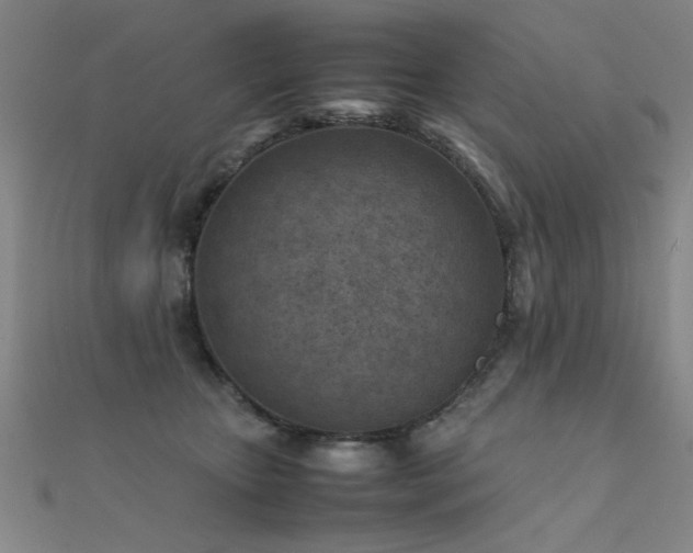 X0000112400467200908141343