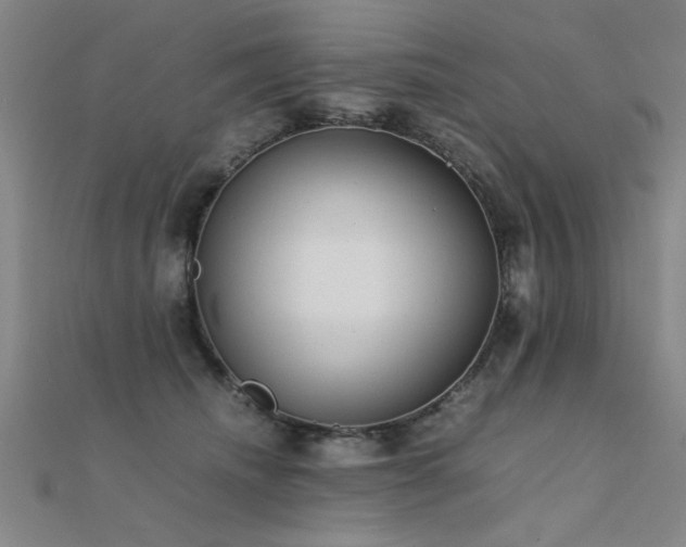 X0000112400468200908141343