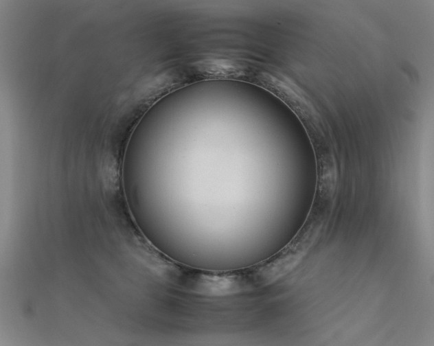 X0000112400469200908141343