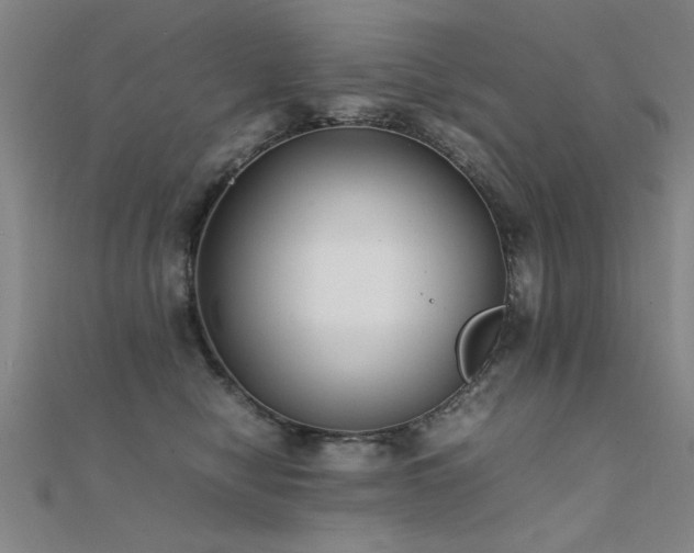 X0000112400470200908141343