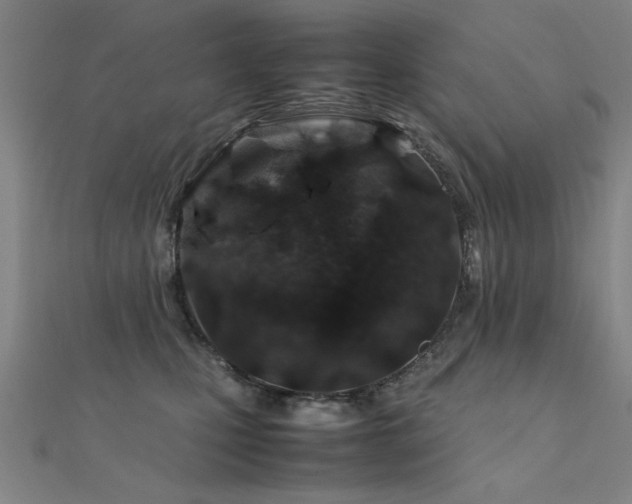 X0000112400471200908141343