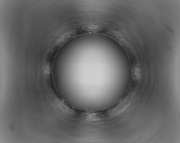 X0000112400472200908141343