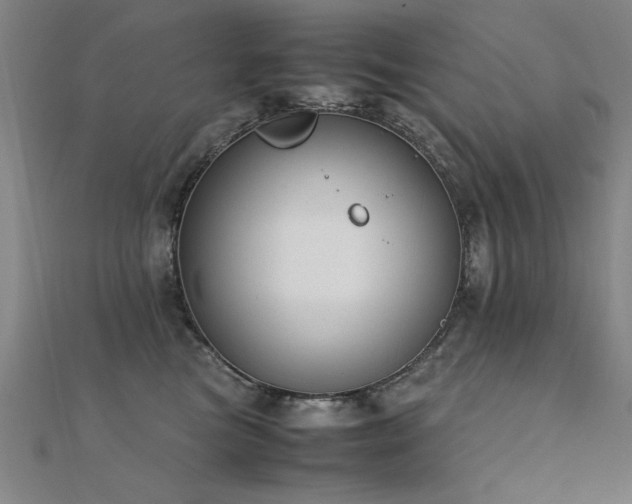 X0000112400473200908141343