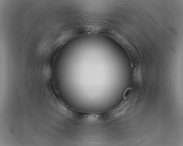 X0000112400474200908141343