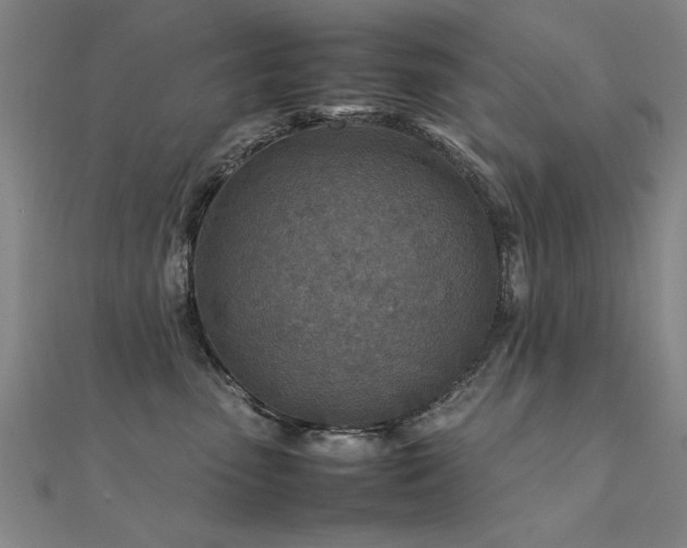 X0000112400475200908141343