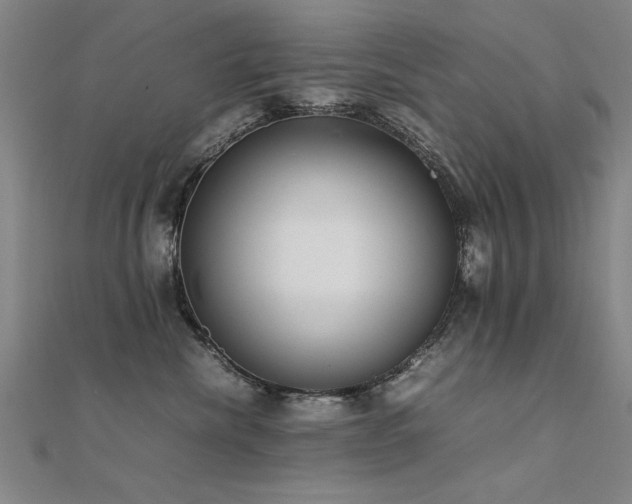 X0000112400476200908141343