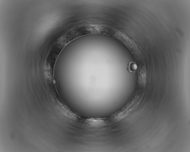 X0000112400477200908141343