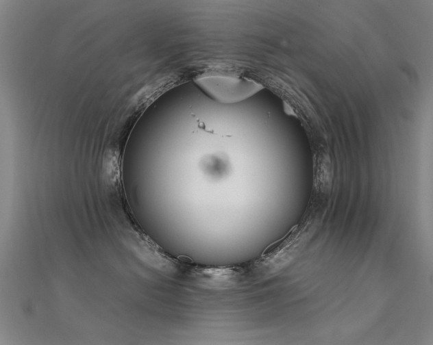 X0000112400478200908141343