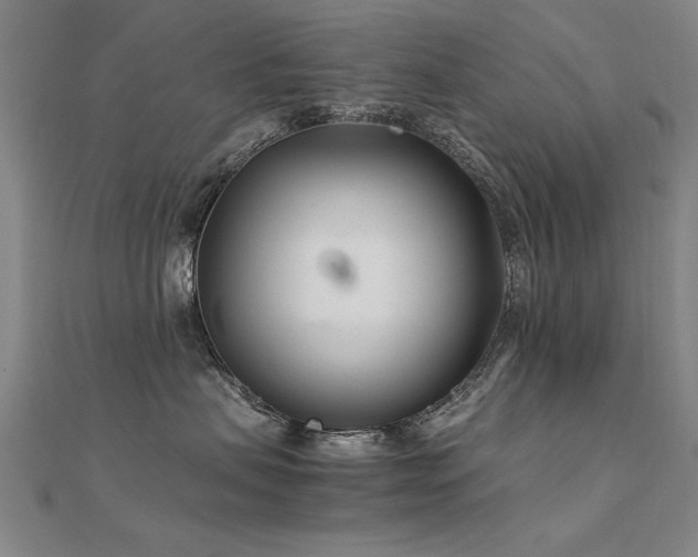 X0000112400479200908141343