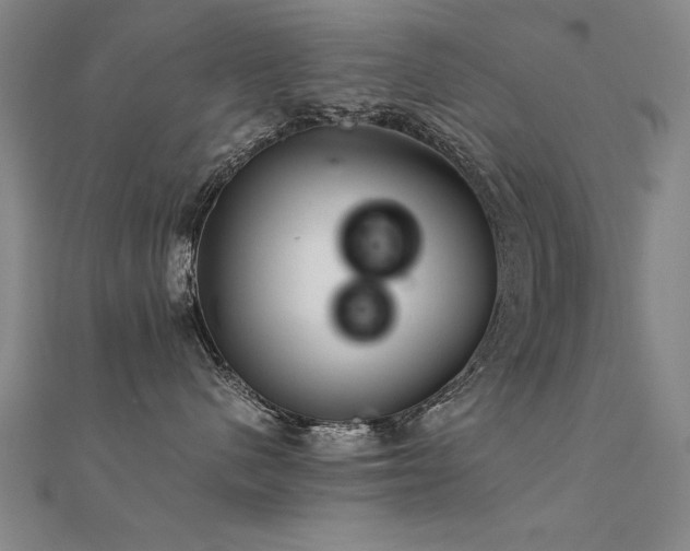 X0000112400480200908141343