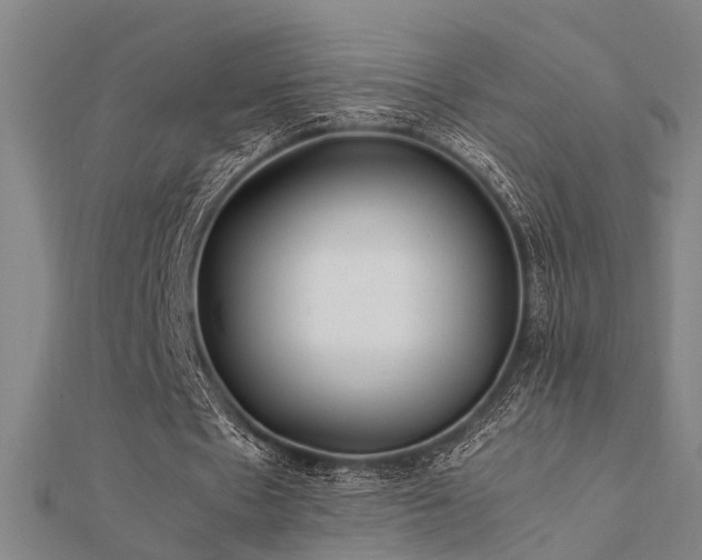 X0000112400481200908141342