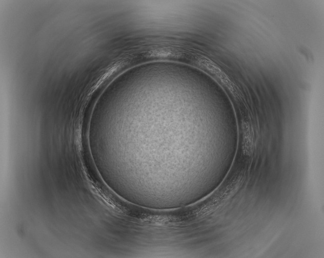 X0000112400482200908141342