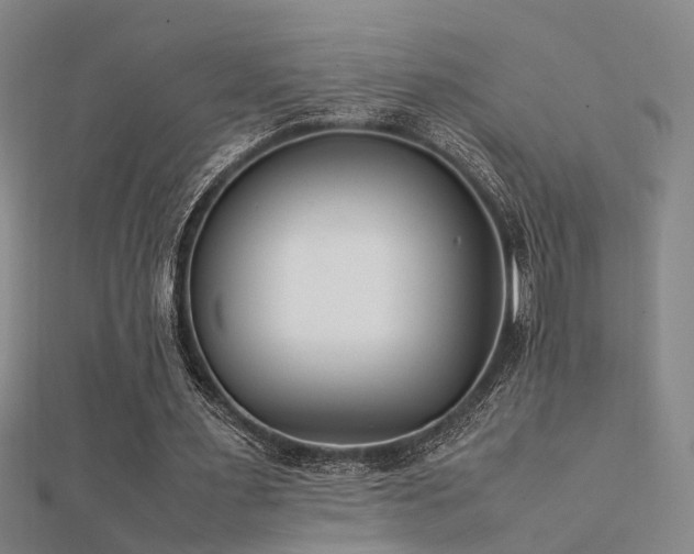 X0000112400483200908141342