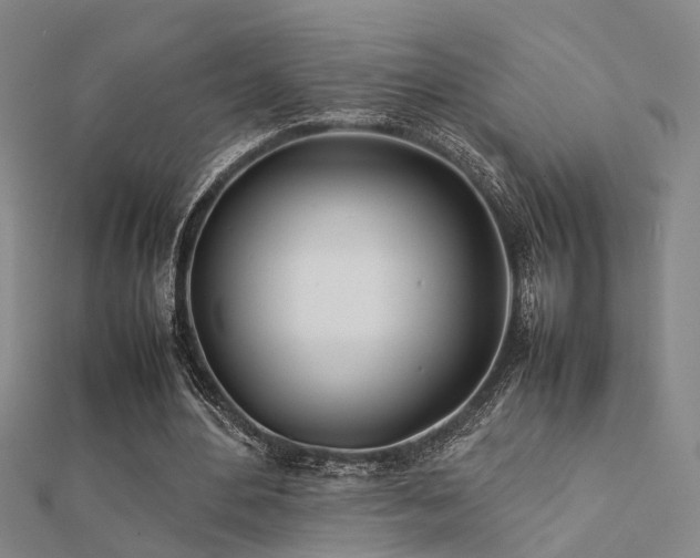 X0000112400484200908141342