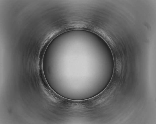 X0000112400486200908141342