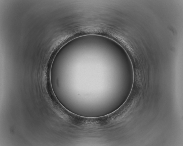 X0000112400487200908141342