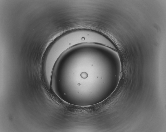X0000112400488200908141342