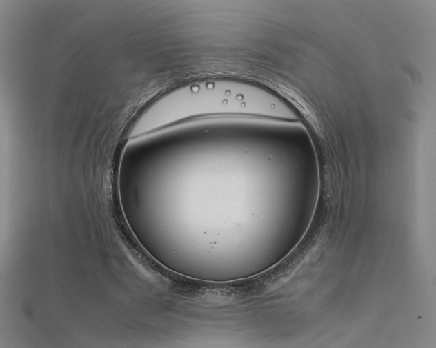 X0000112400489200908141342