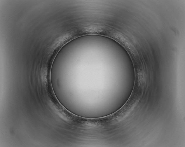 X0000112400490200908141342