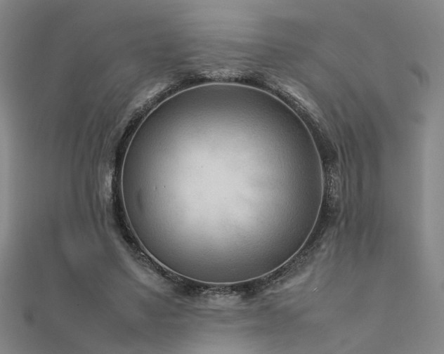 X0000112400491200908141342