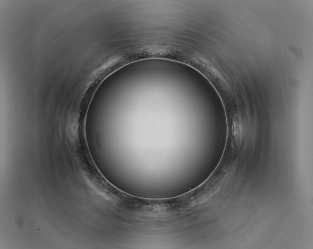 X0000112400492200908141342