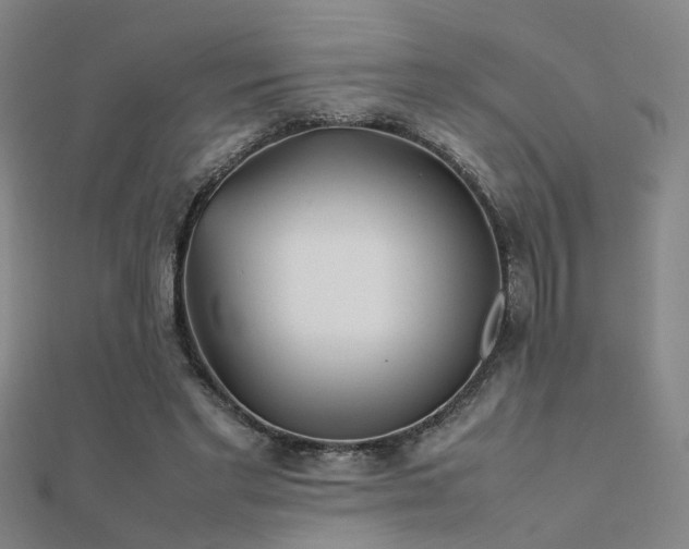 X0000112400493200908141342