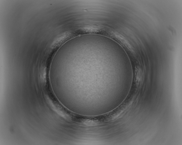 X0000112400494200908141342