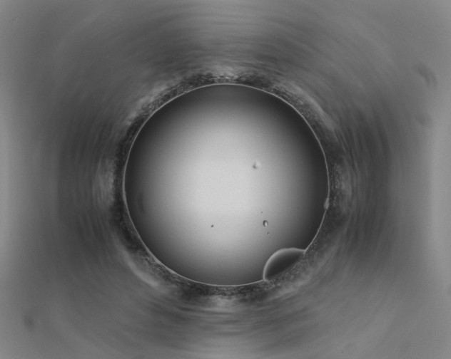 X0000112400496200908141342