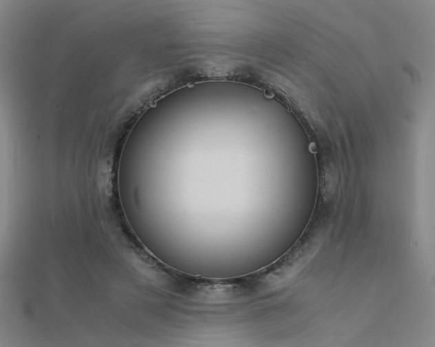 X0000112400497200908141342