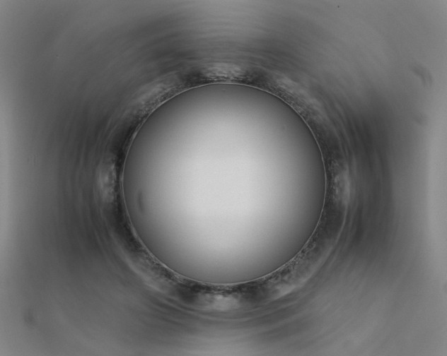 X0000112400498200908141342