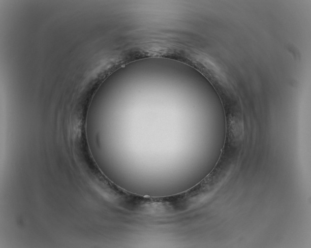 X0000112400499200908141342