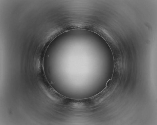 X0000112400500200908141342