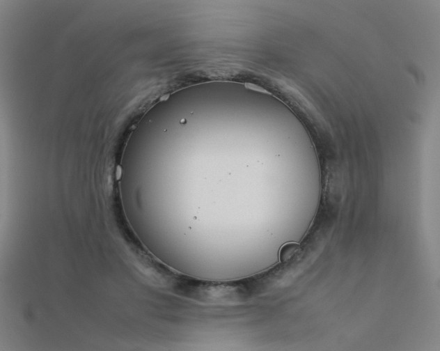 X0000112400501200908141342