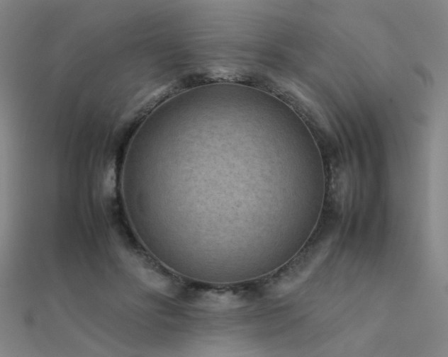X0000112400502200908141342