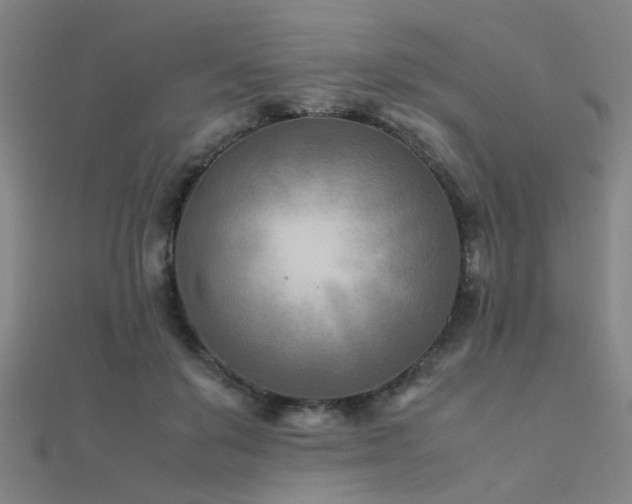 X0000112400503200908141342