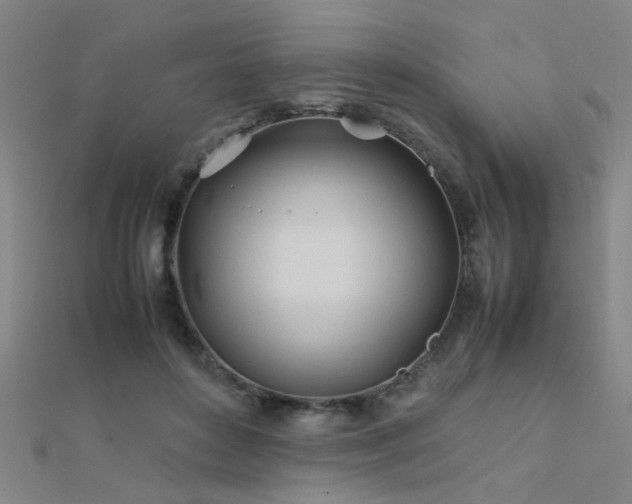 X0000112400504200908141342