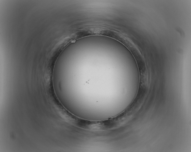 X0000112400505200908141342