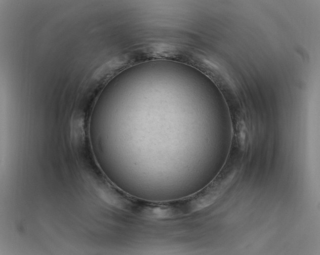 X0000112400506200908141342