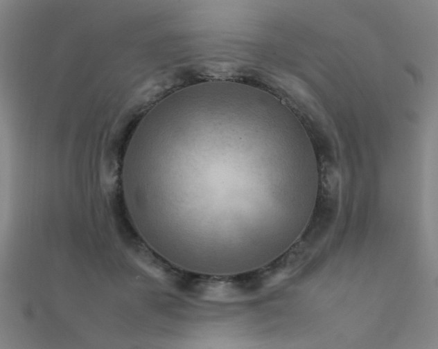 X0000112400507200908141342