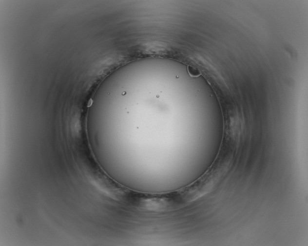 X0000112400508200908141342