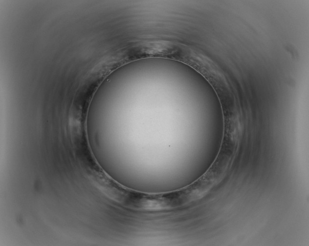 X0000112400510200908141342