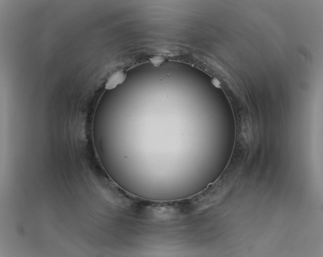 X0000112400512200908141342