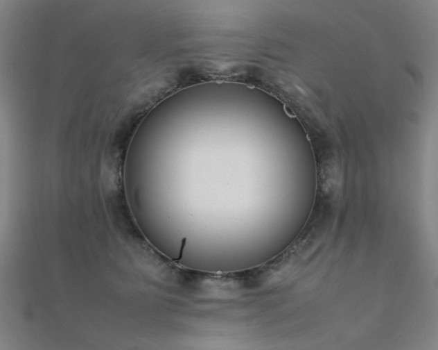X0000112400515200908141342