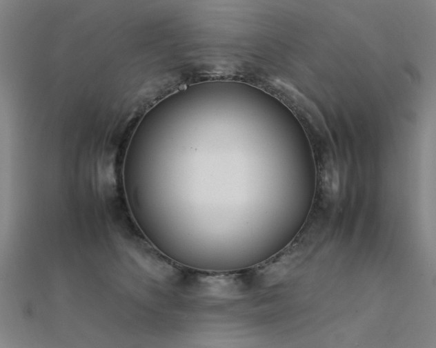 X0000112400516200908141342