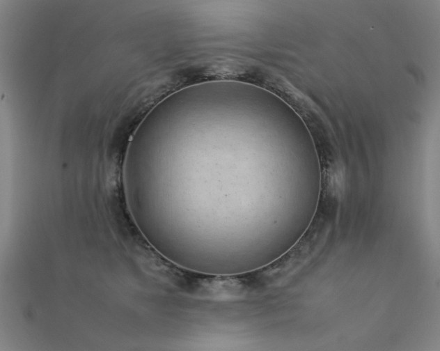 X0000112400517200908141342