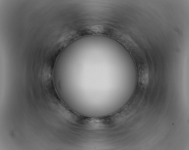 X0000112400518200908141342