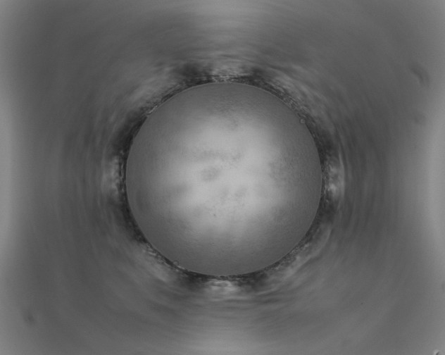 X0000112400519200908141342